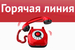 График работы "горячей линии" Министерства промышленности и торговли